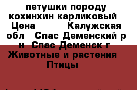 петушки породу кохинхин карликовый › Цена ­ 800 - Калужская обл., Спас-Деменский р-н, Спас-Деменск г. Животные и растения » Птицы   